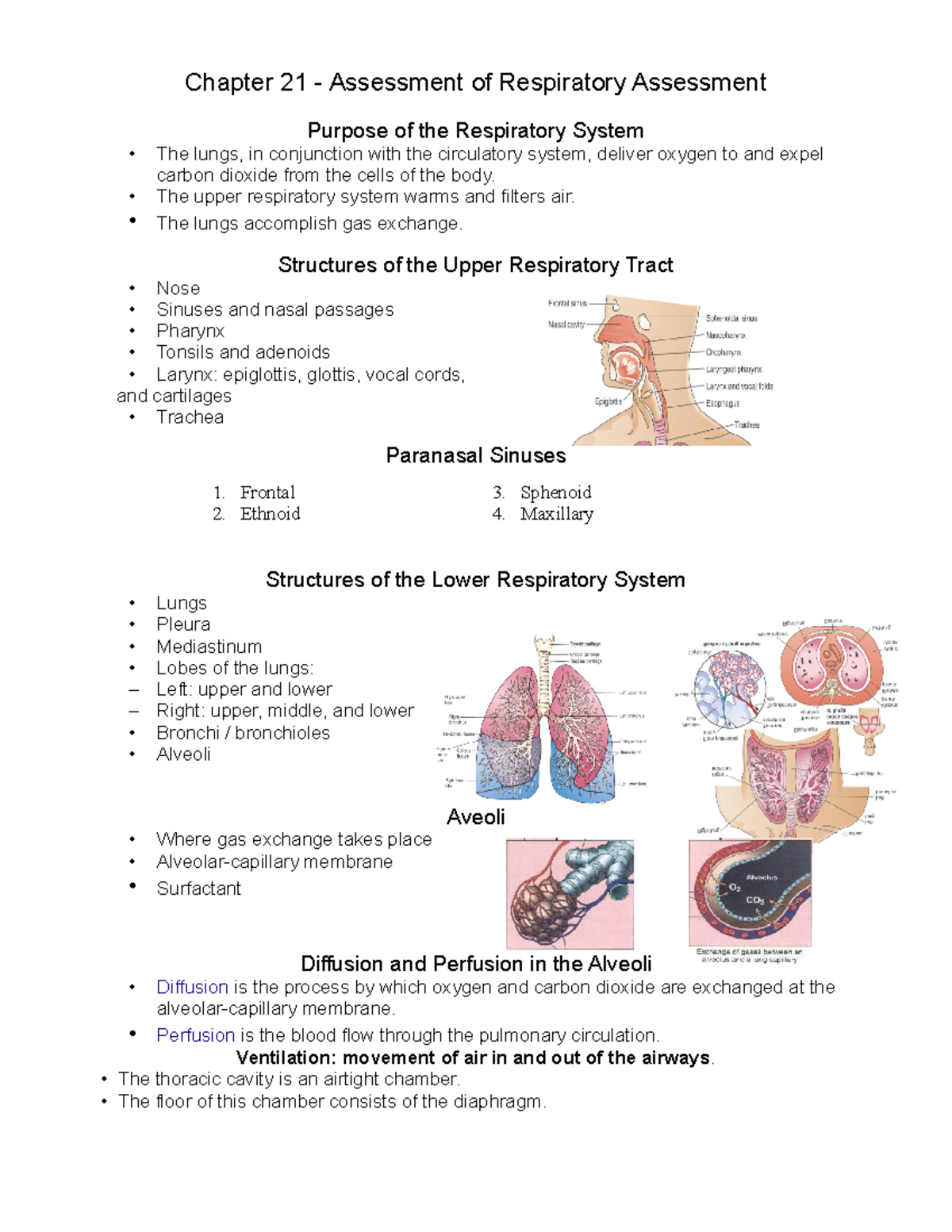 4-Respiratory Pediatric Assess - Chapter 21 Assessment Of Respiratory ...