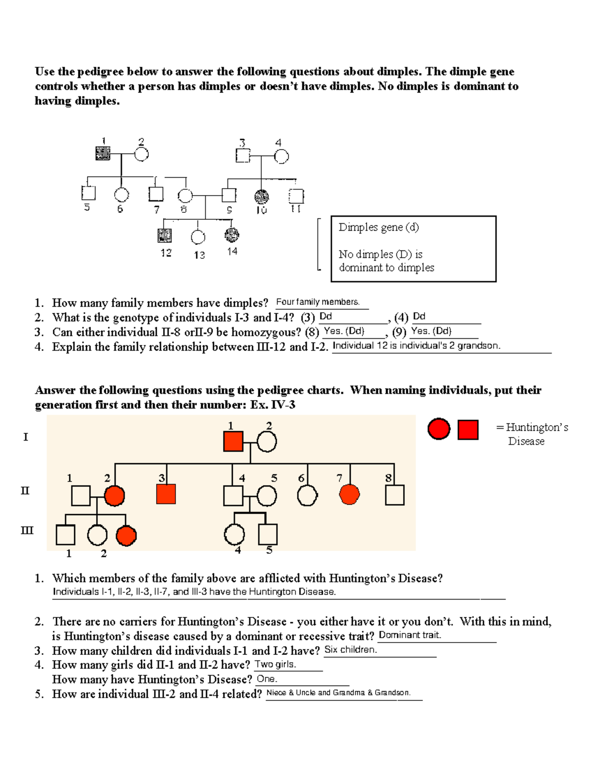 understanding-pedigrees-grade-9-genetics-for-igcse-biology-3-24-pmg