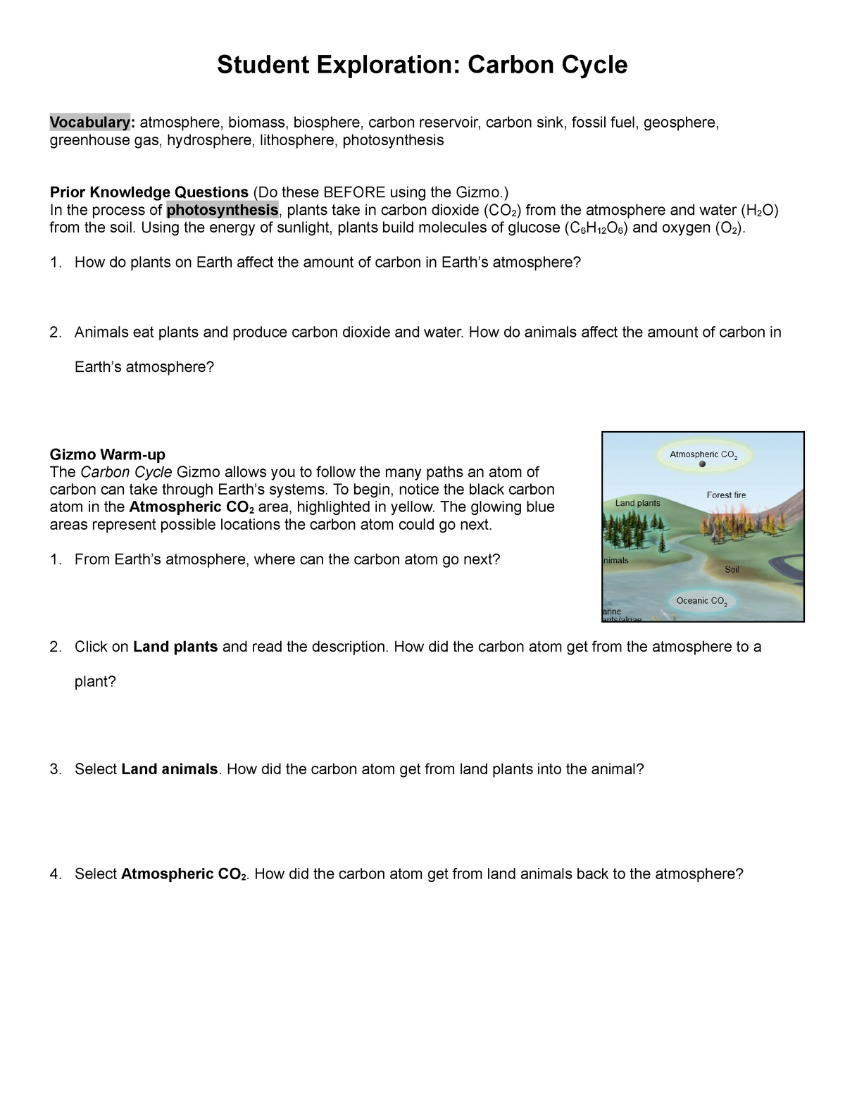 student exploration carbon cycle gizmo answer key