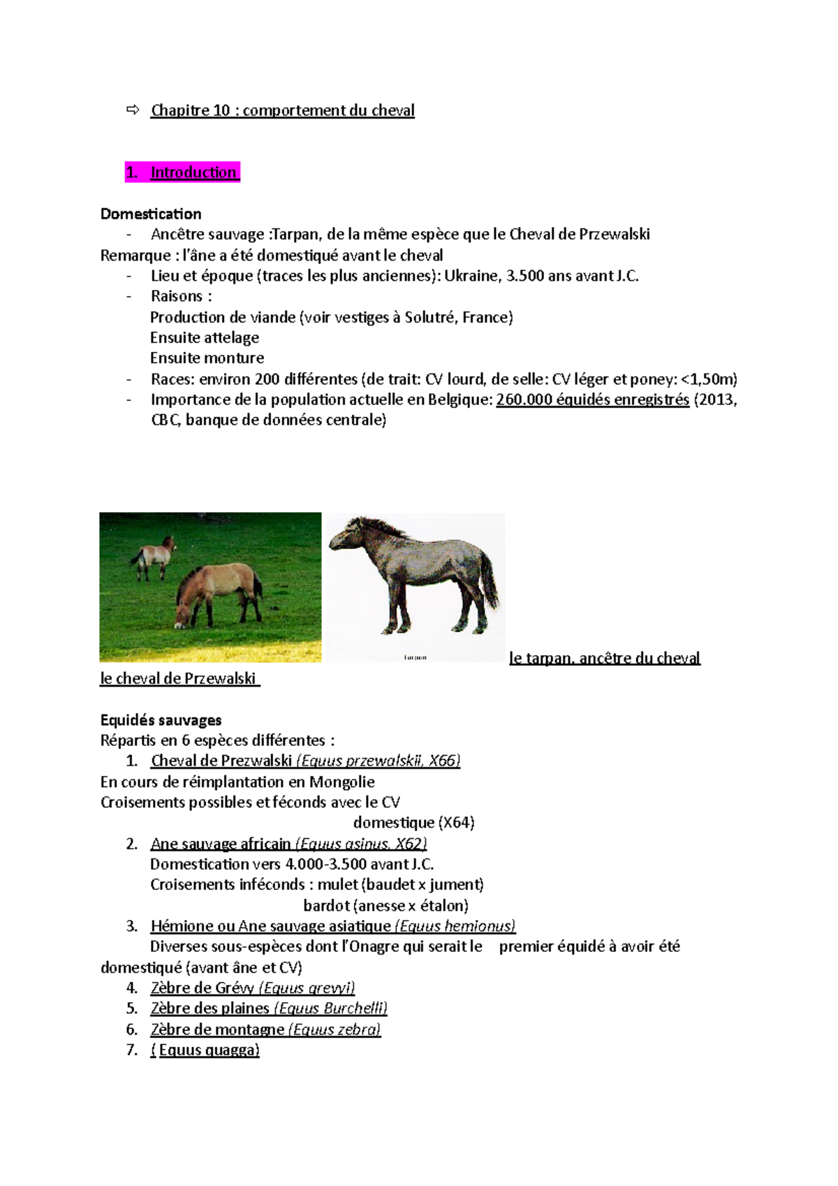 Chapitre 10 -  Chapitre 10 : comportement du cheval Introduction  Domestication - Ancêtre sauvage - Studocu