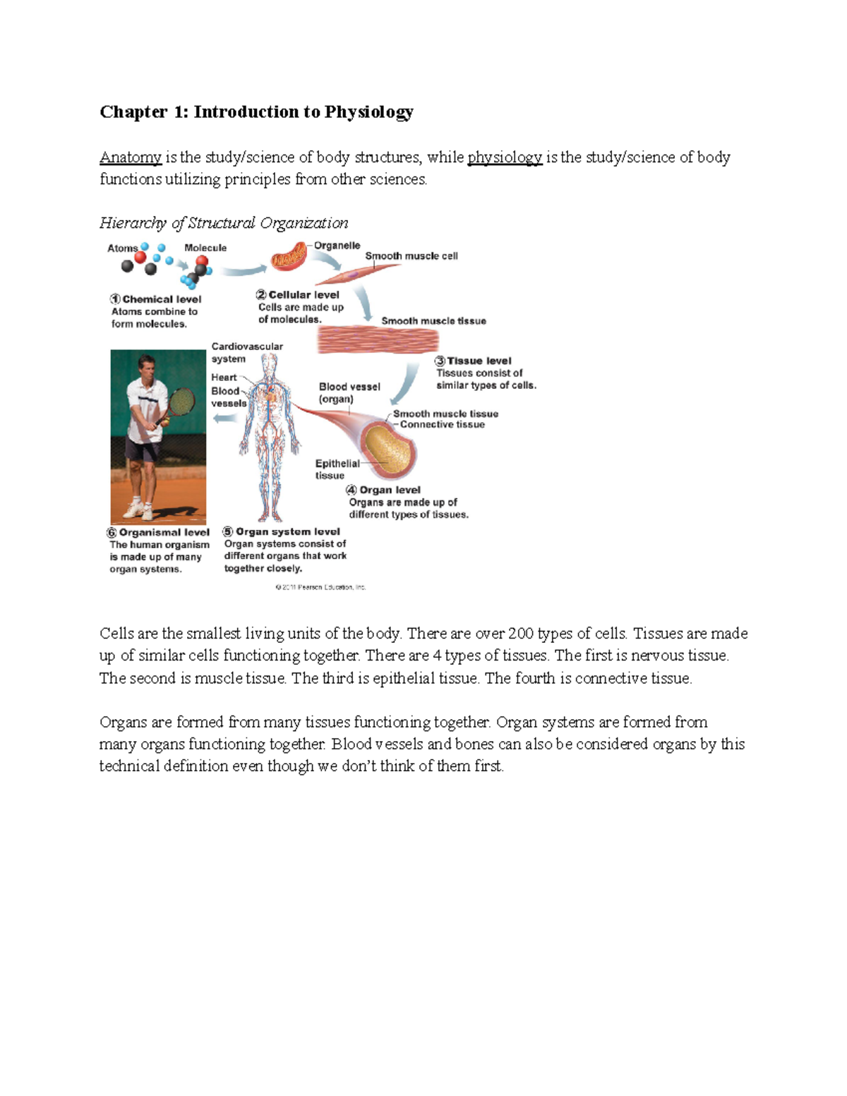 APK2105C Exam 1 Notes Chapter 1 Introduction to Physiology Anatomy