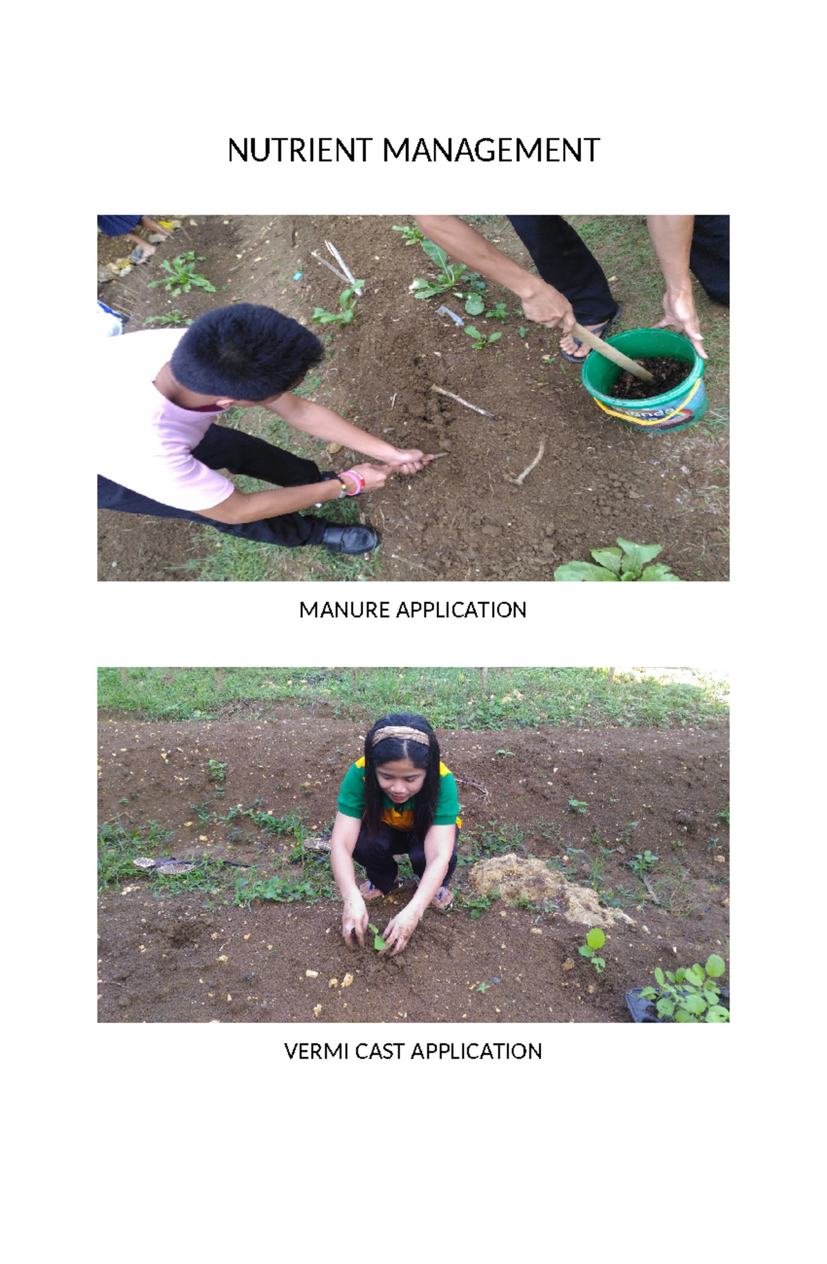 Nutrient Management - IT'S HELPFUL - Bachelor in Business Teacher ...