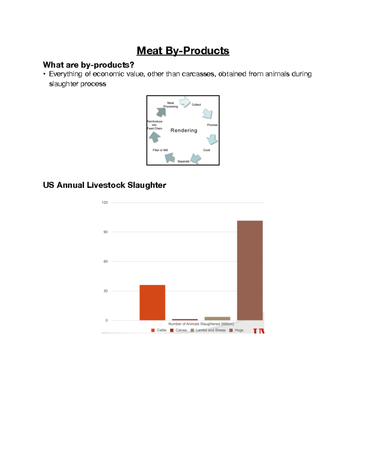 Meat ByProducts InClass Lecture Notes Meat ByProducts What are by