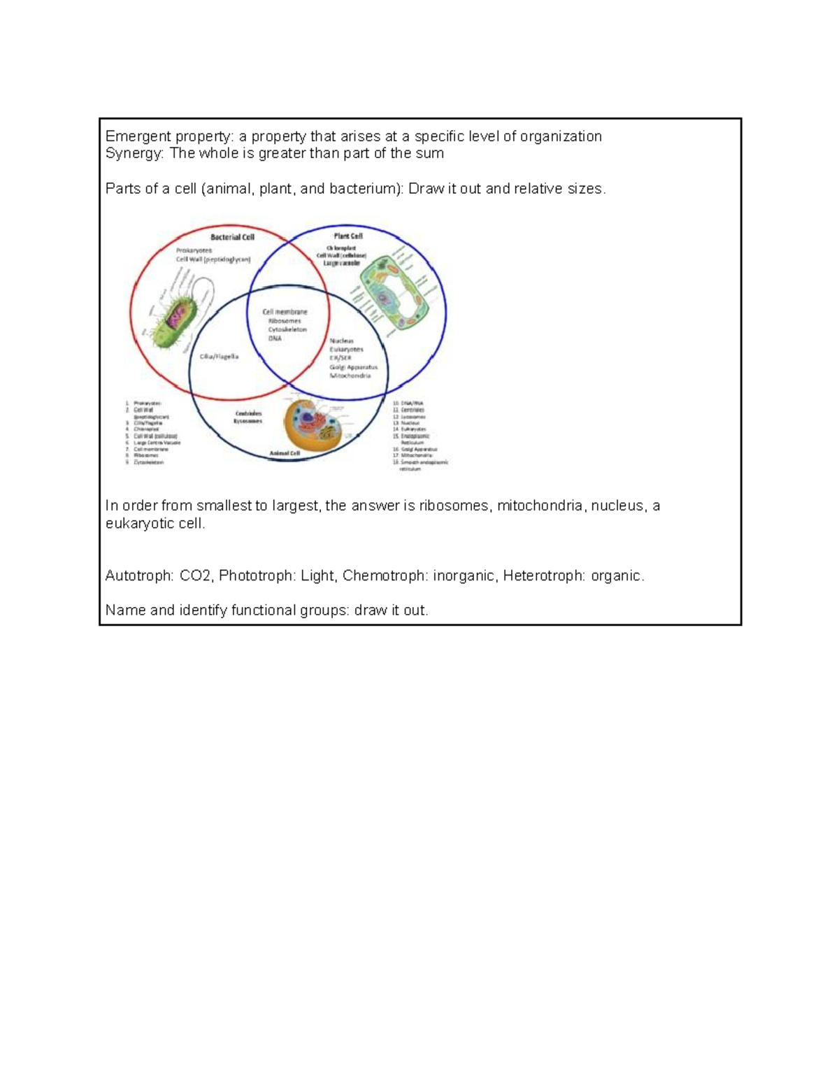 Final Biochem Notes - Emergent property: a property that arises at a ...