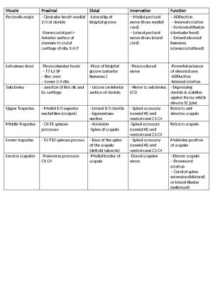 Lower limb muscles - Summary Anatomy for Physiotherapy - Muscle ...