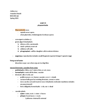 BIOL 106 L Notes Oct 5 Flower Anatomy - BIOLOGY 106L Oct 5, 2022 ...