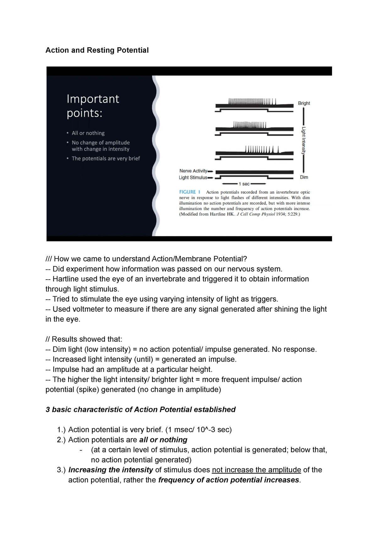 Action Potential And Propagation - Action And Resting Potential /// How ...