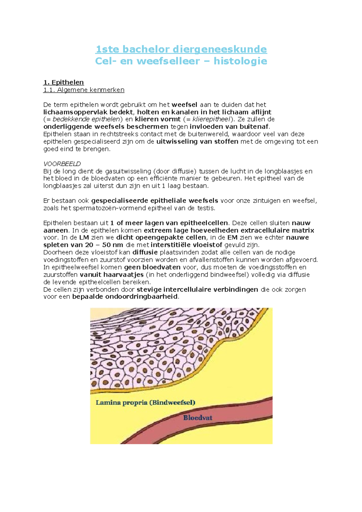 Samenvatting Cel- En Weefselleer - 1ste Bachelor Diergeneeskunde Cel ...