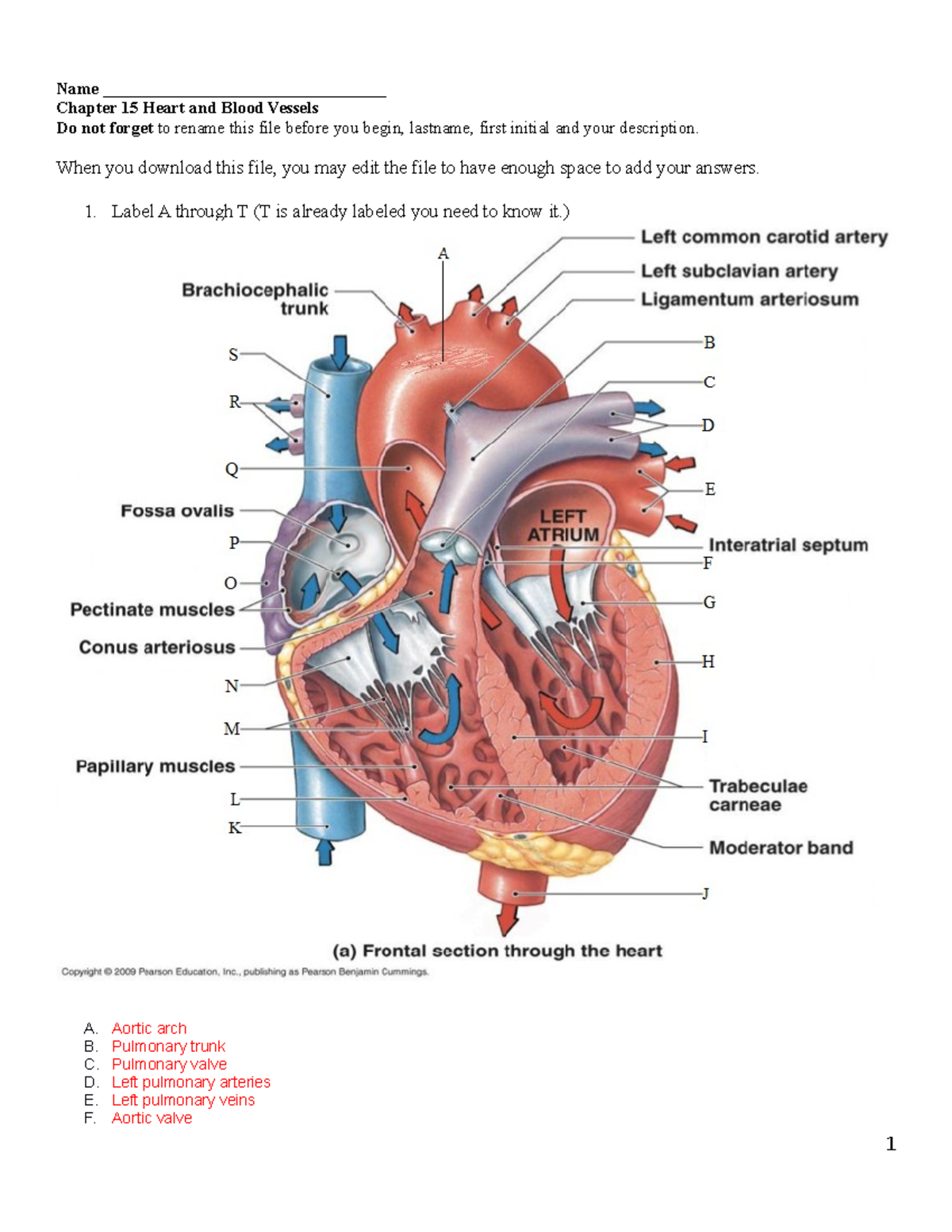 BIO116 Chapter 15heartandbldvessels Ebony Sibby - Name ...