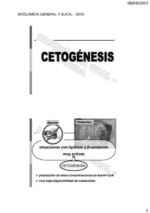 Resumen Final Cat. 2 - BIOQUI PRIMER PARCIAL Introducción A La ...