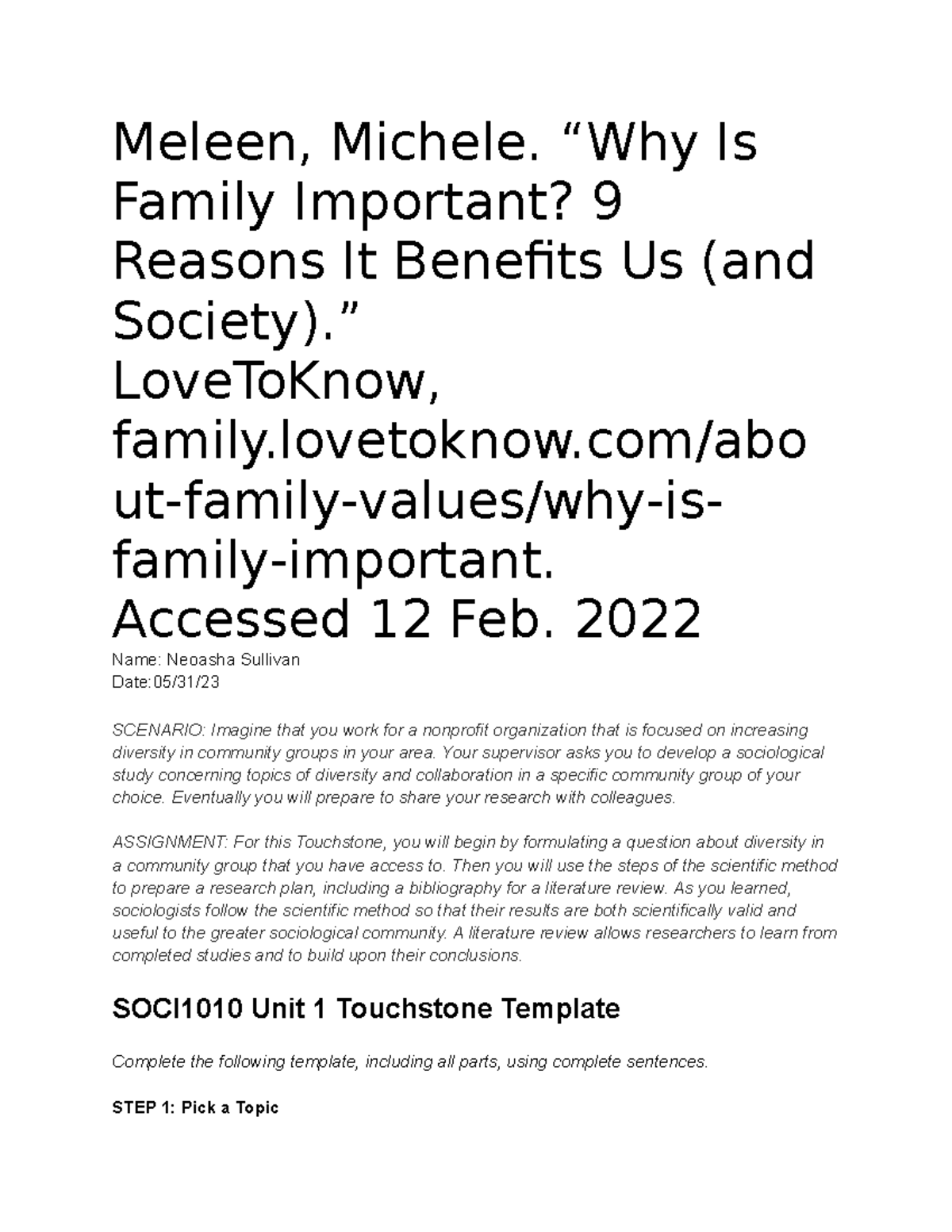 SOCI1010 Touchstone 1 Template Meleen Michele. Why Is Family