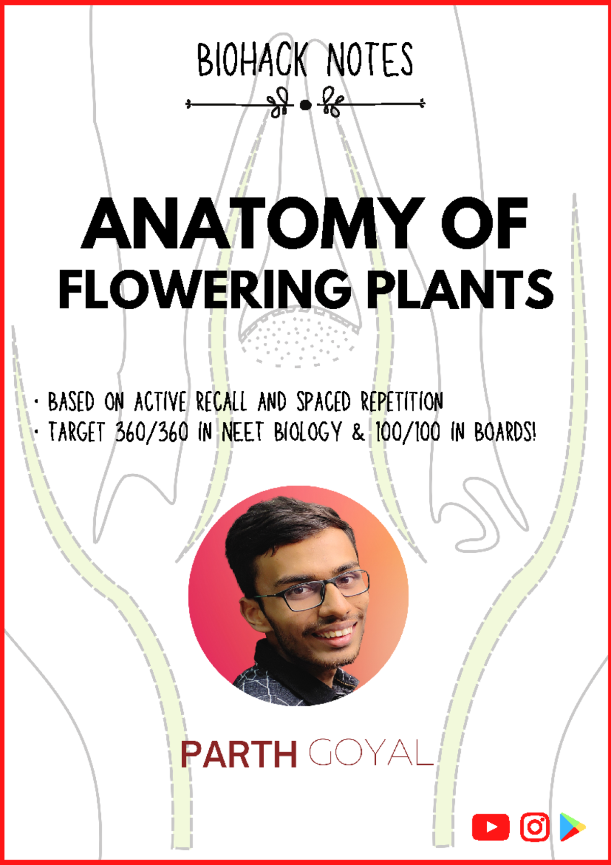 Anatomy Bio Hack - good - ANATOMY OF FLOWERING PLANTS BIOHACK NOTES ...