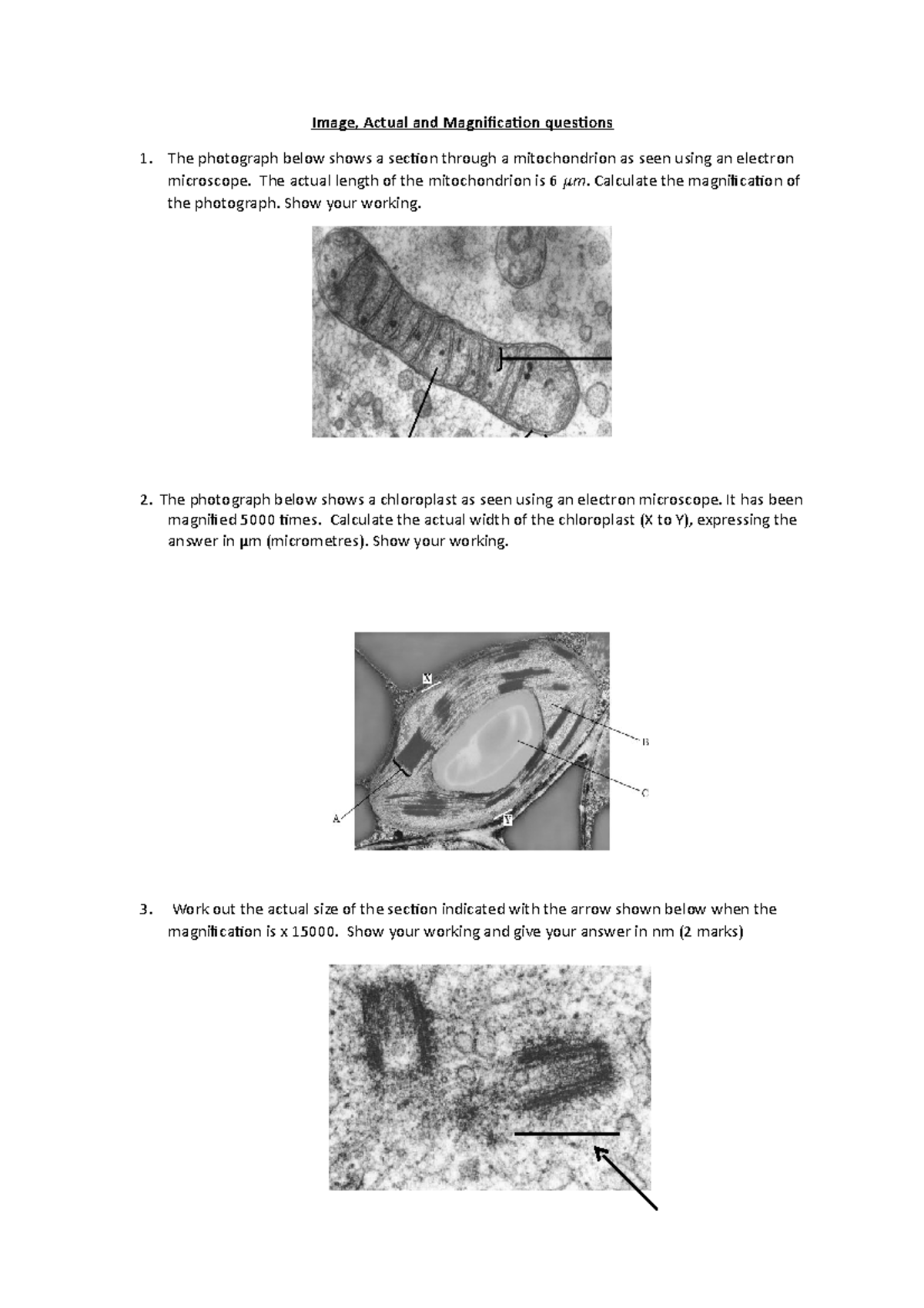 3 Microscopesquestions I AM 4 Image, Actual and Magnification