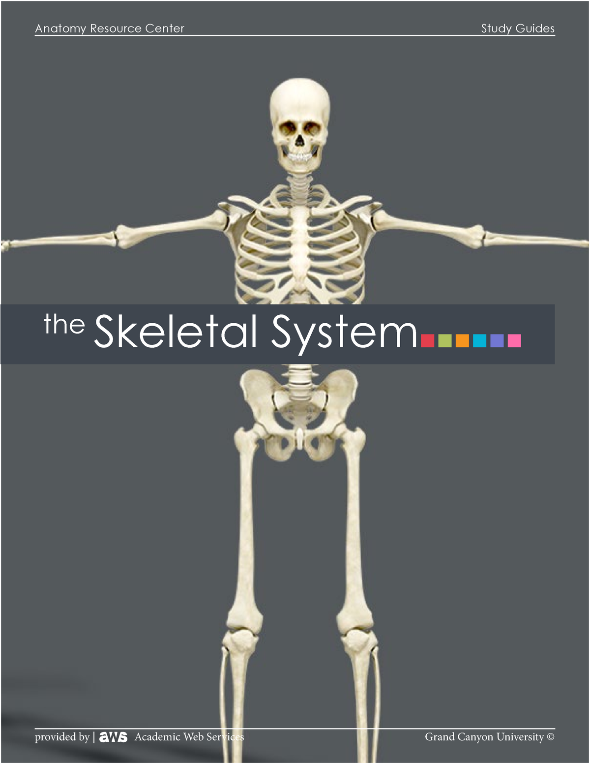 Skeletal-system- GCU - This is an skeletal system power point of all ...