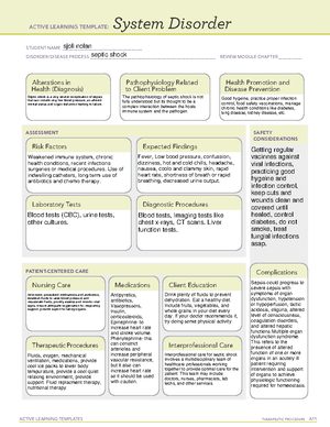 Active Learning Template Basic Concept (4) infection control - VN 100 ...