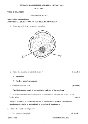 History FORM 3 Notes Champ 240219 050046 - FORM THREE WORK CHAMPIONS ...
