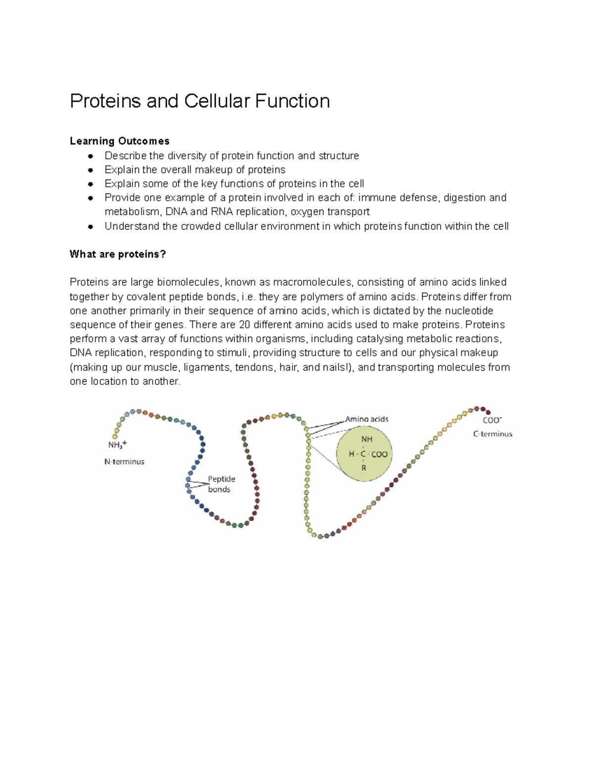 Lecture 3 - Why study proteins - Proteins and Cellular Function ...