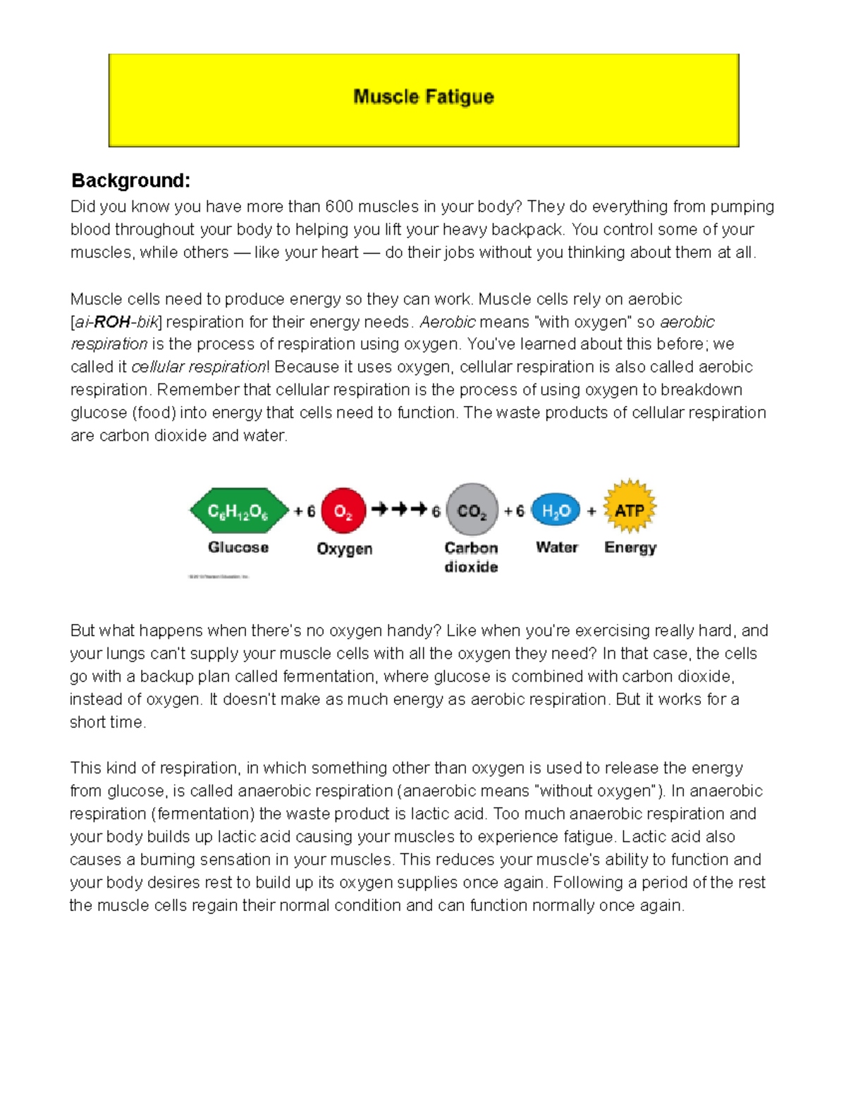 Copy of Bio Unit 2 Muscle Fatigue Lab Studocu