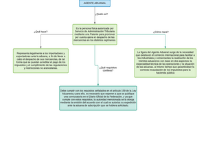 Agente Aduanal Mapa Conceptual Shibaswap Vrogue Co