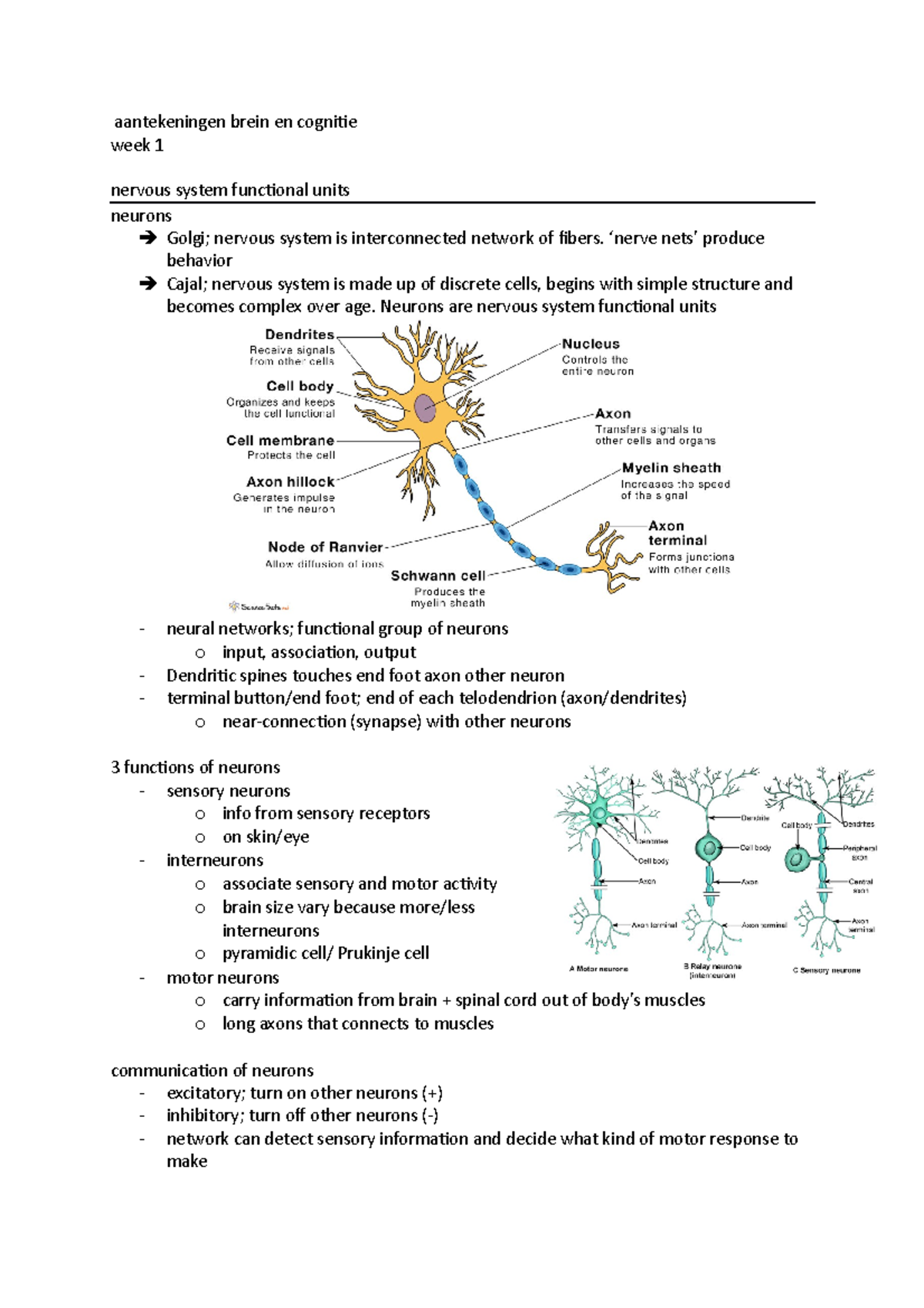Aantekeningen brein en cognitie tm week 3 - aantekeningen brein en ...