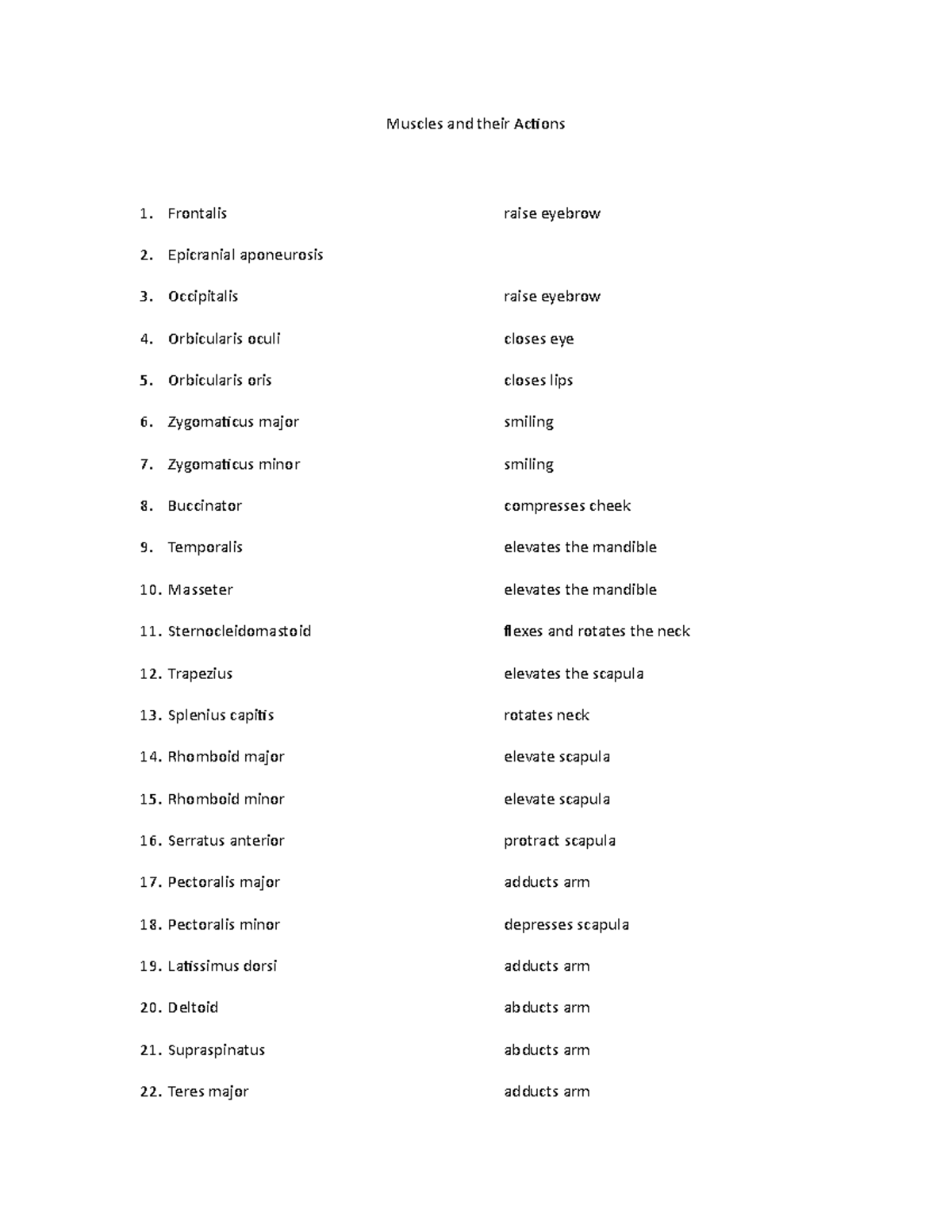 Actions of Muscles - Muscles and their Actions Frontalis raise eyebrow ...