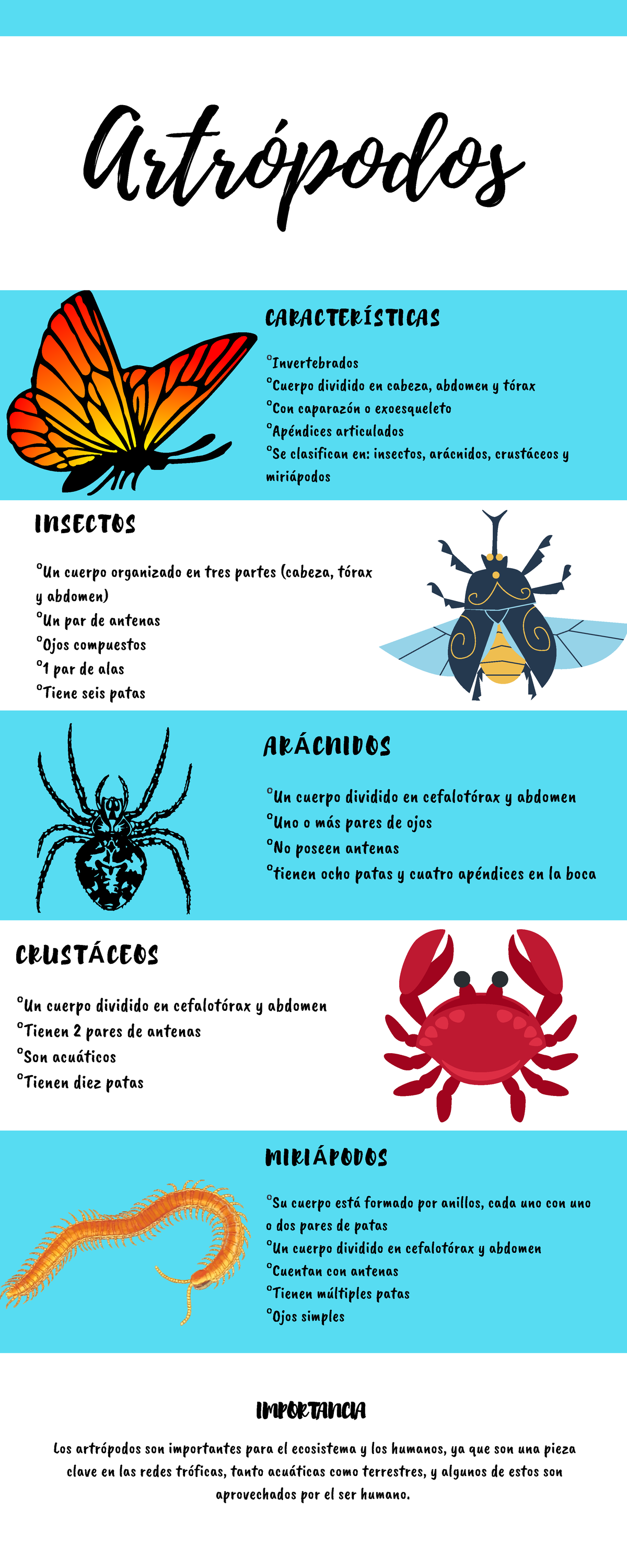 Artr Podos Biologia Los Artr Podos Son Importantes Para El