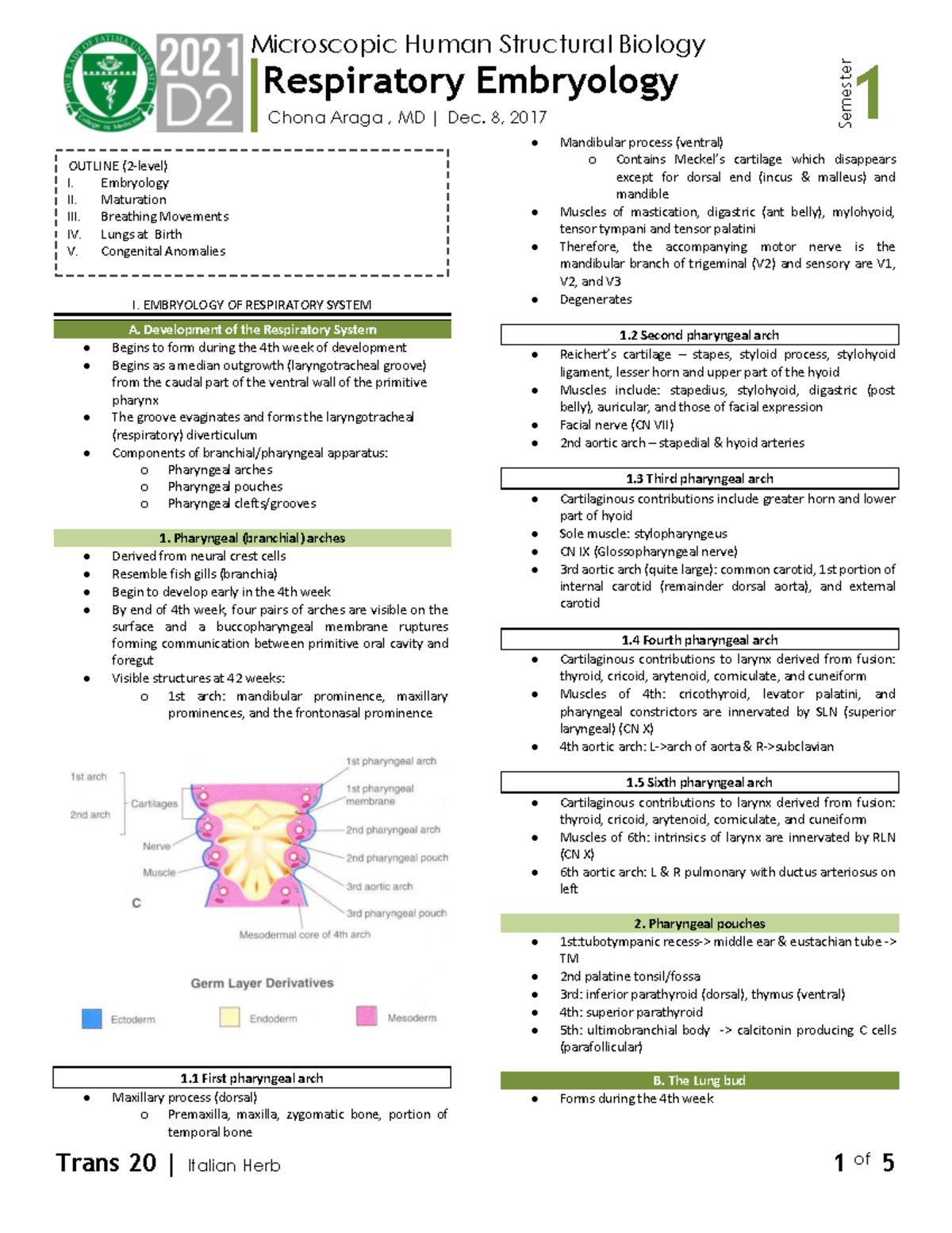 Micro - S1T20 Respiratory Embryology - Trans 20 | Italian Herb 1 of 5 ...