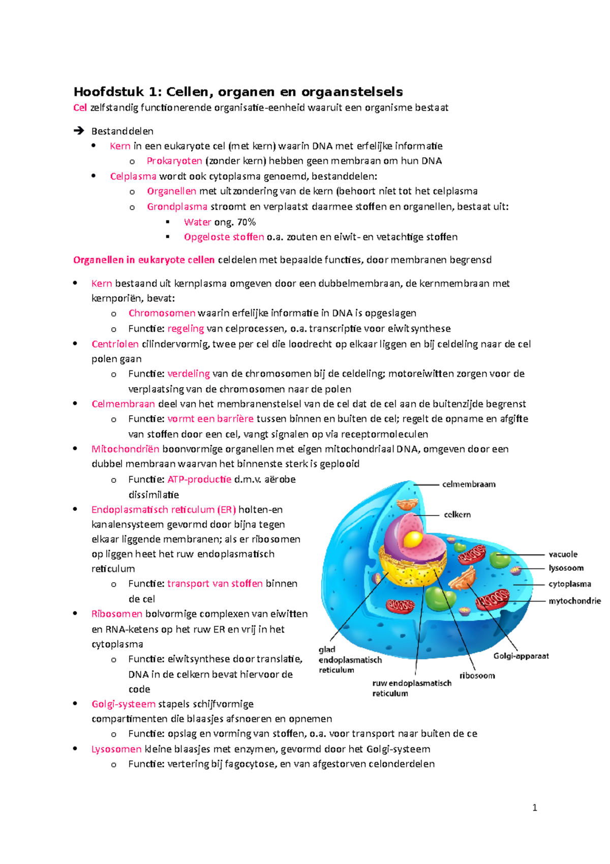 Biologie Alle Examenstof - Hoofdstuk 1: Cellen, Organen En ...