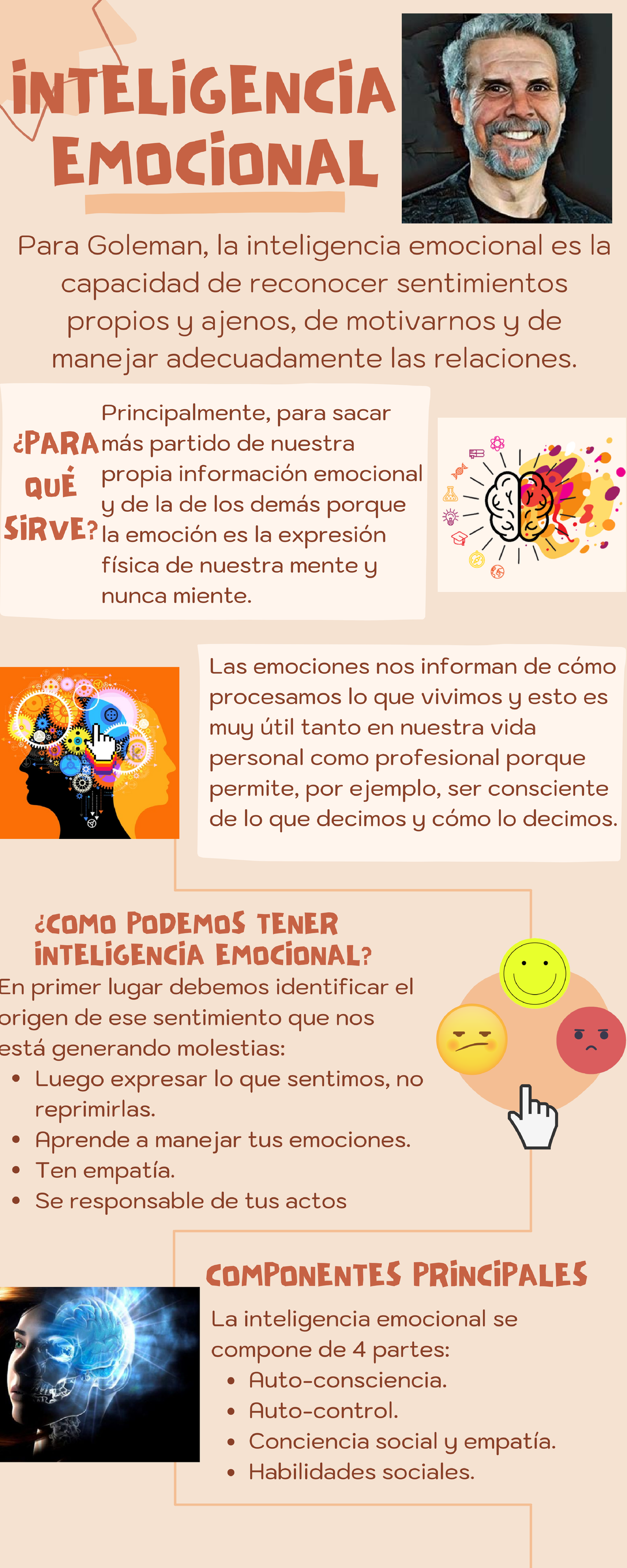 Mapa Conceptual De La Inteligencia Emocional