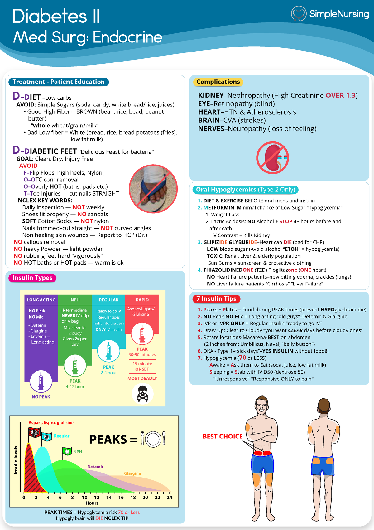 N480 - Week 5 - Insulin Education - Diabetes II Med Surg: Endocrine