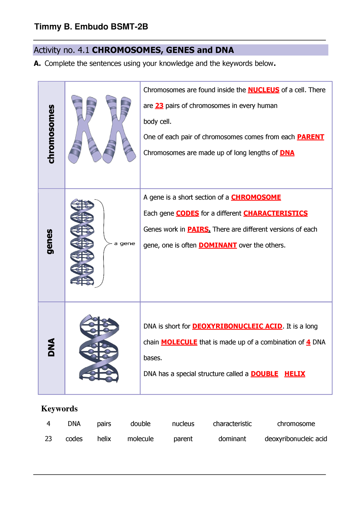 Activity No. 4.1 Chromosomes, Genes And DNA - Timmy B. Embudo BSMT-2B ...