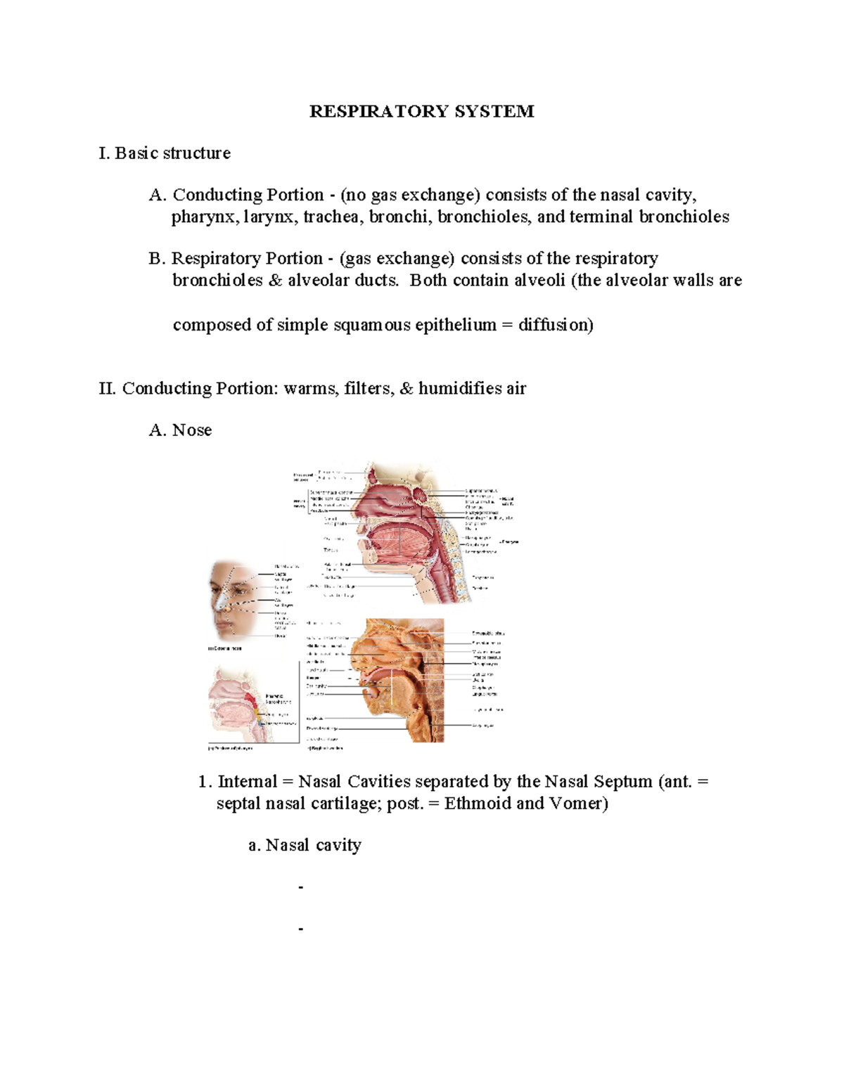BIO225-3.respiratory - RESPIRATORY SYSTEM I. Basic structure A ...