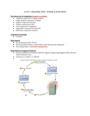 Ch 3 outline - textbook - Anatomy and Physiology 1 Lecture Chapter 3 ...
