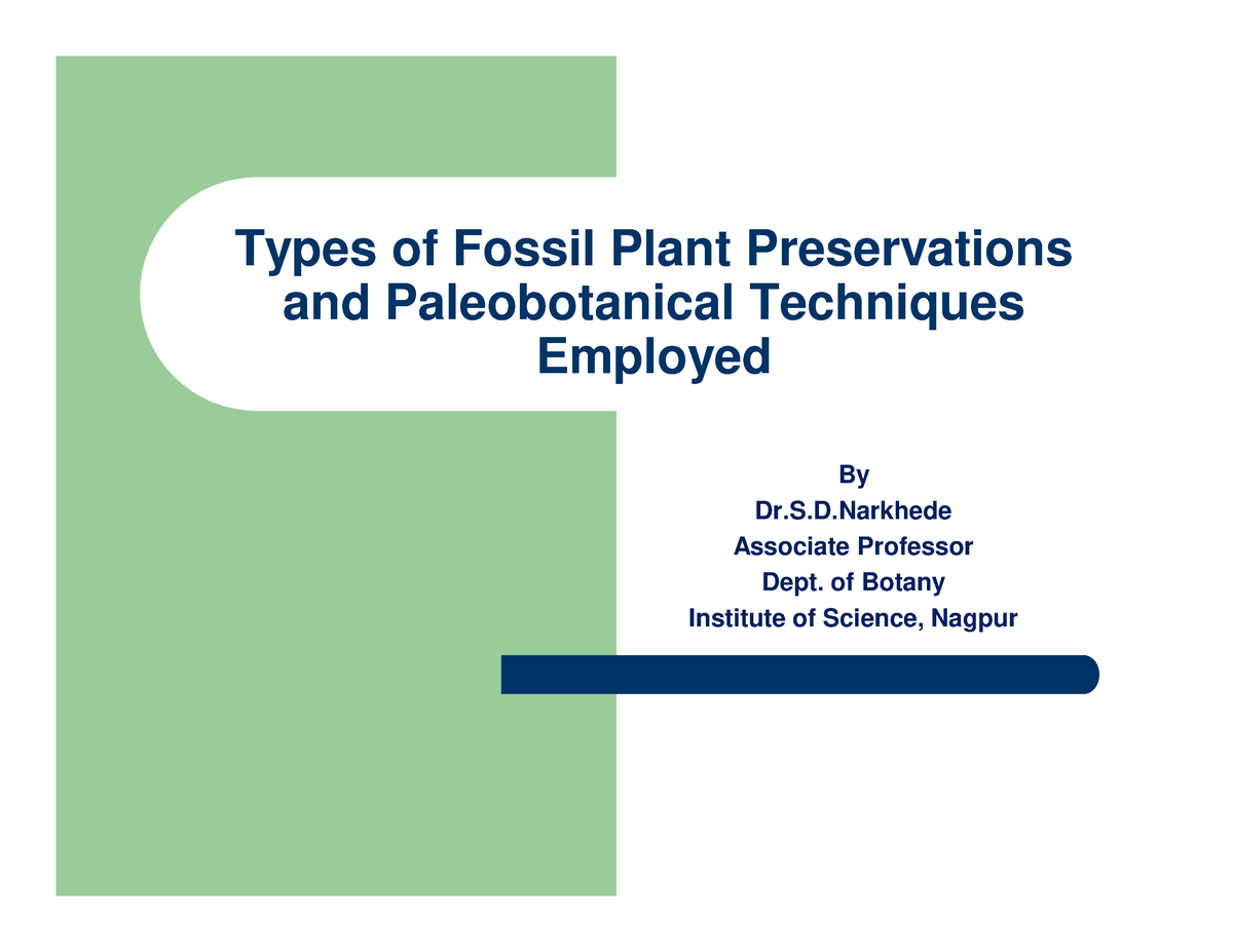 Preservation Of Fossils - Types Of Fossil Plant Preservations And ...