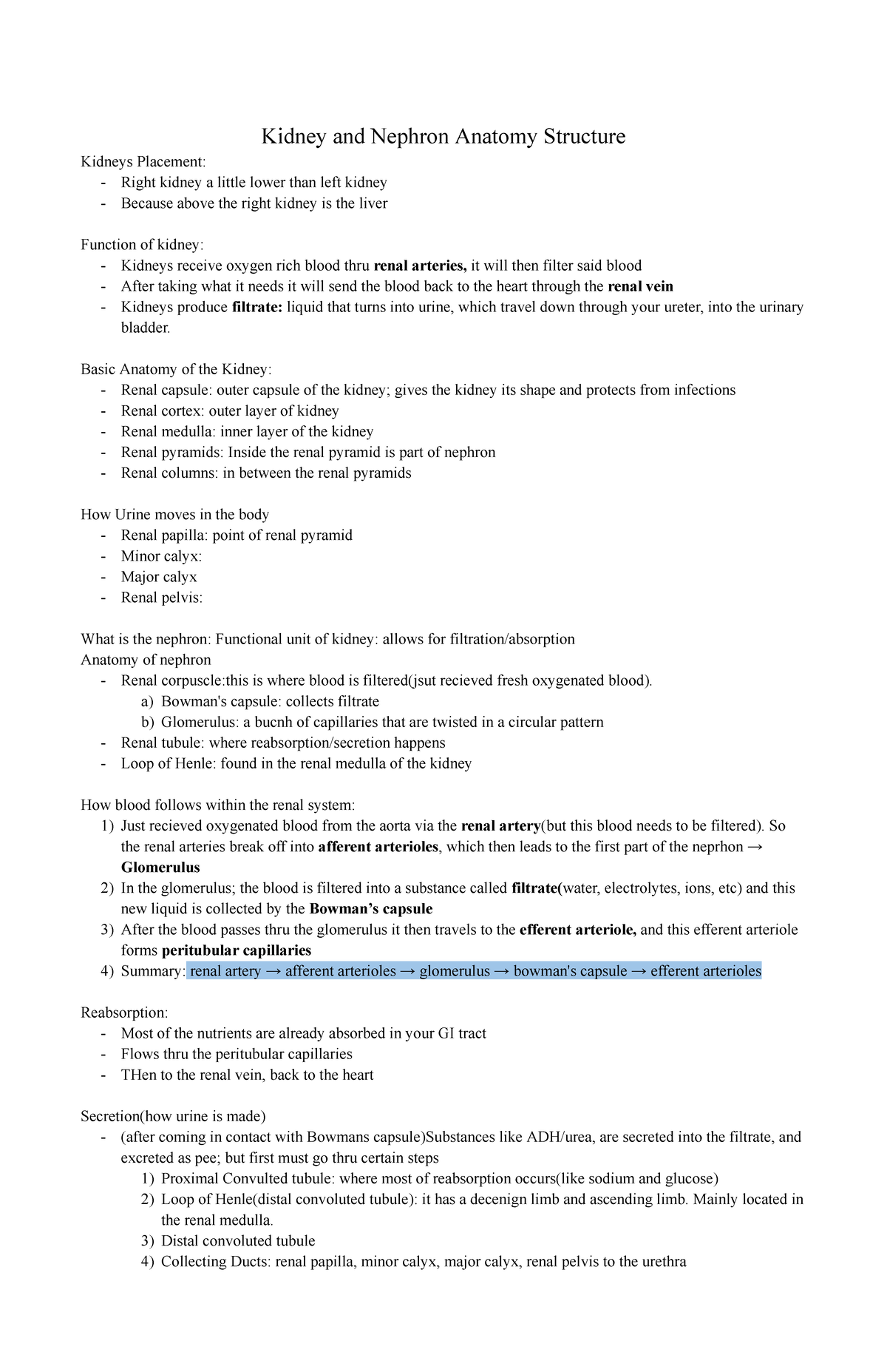 Kidney+Nephron - Additional Kindey notes - Kidney and Nephron Anatomy ...