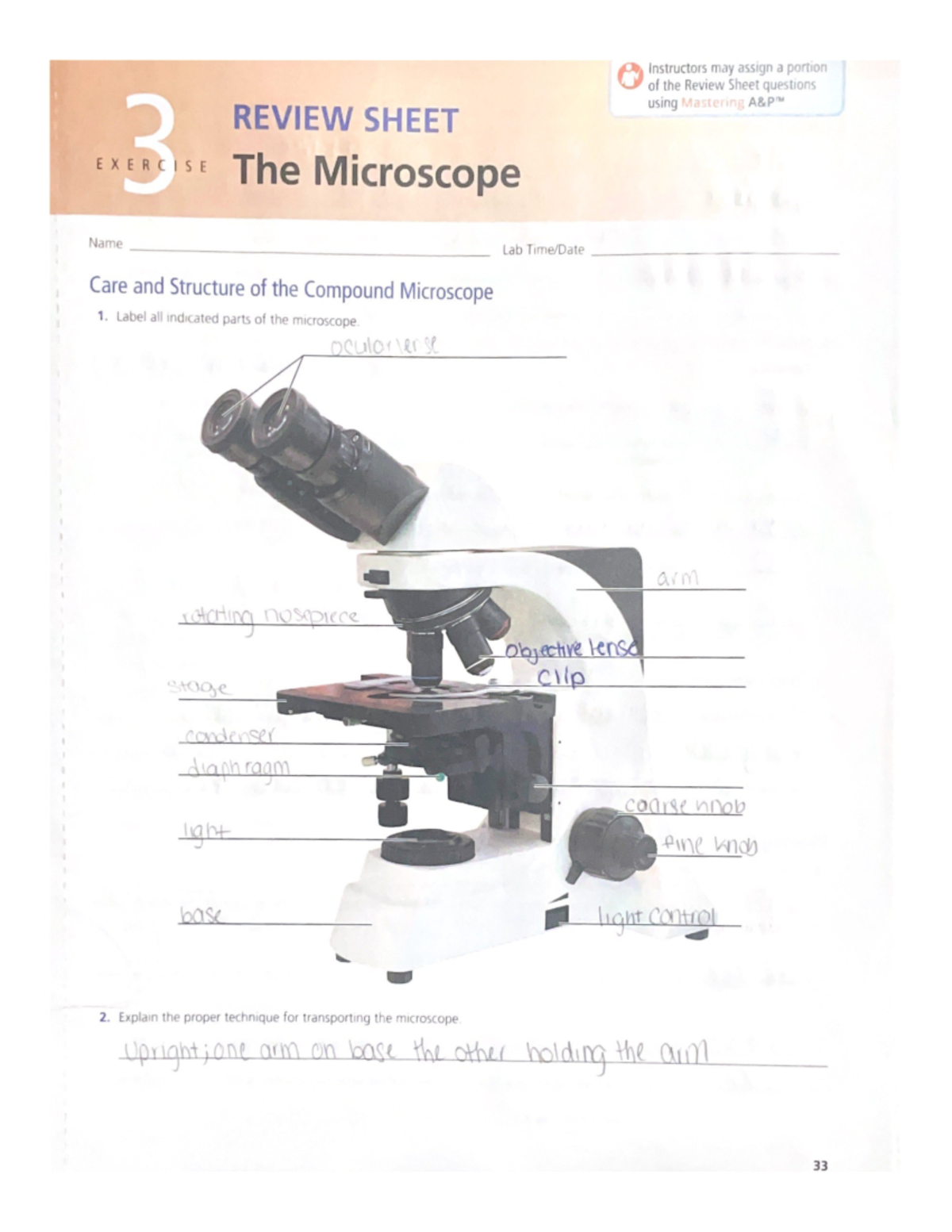 Exercise 3 -AP1 - Prof. Hoffmann Physical Textbook Human Anatomy And ...