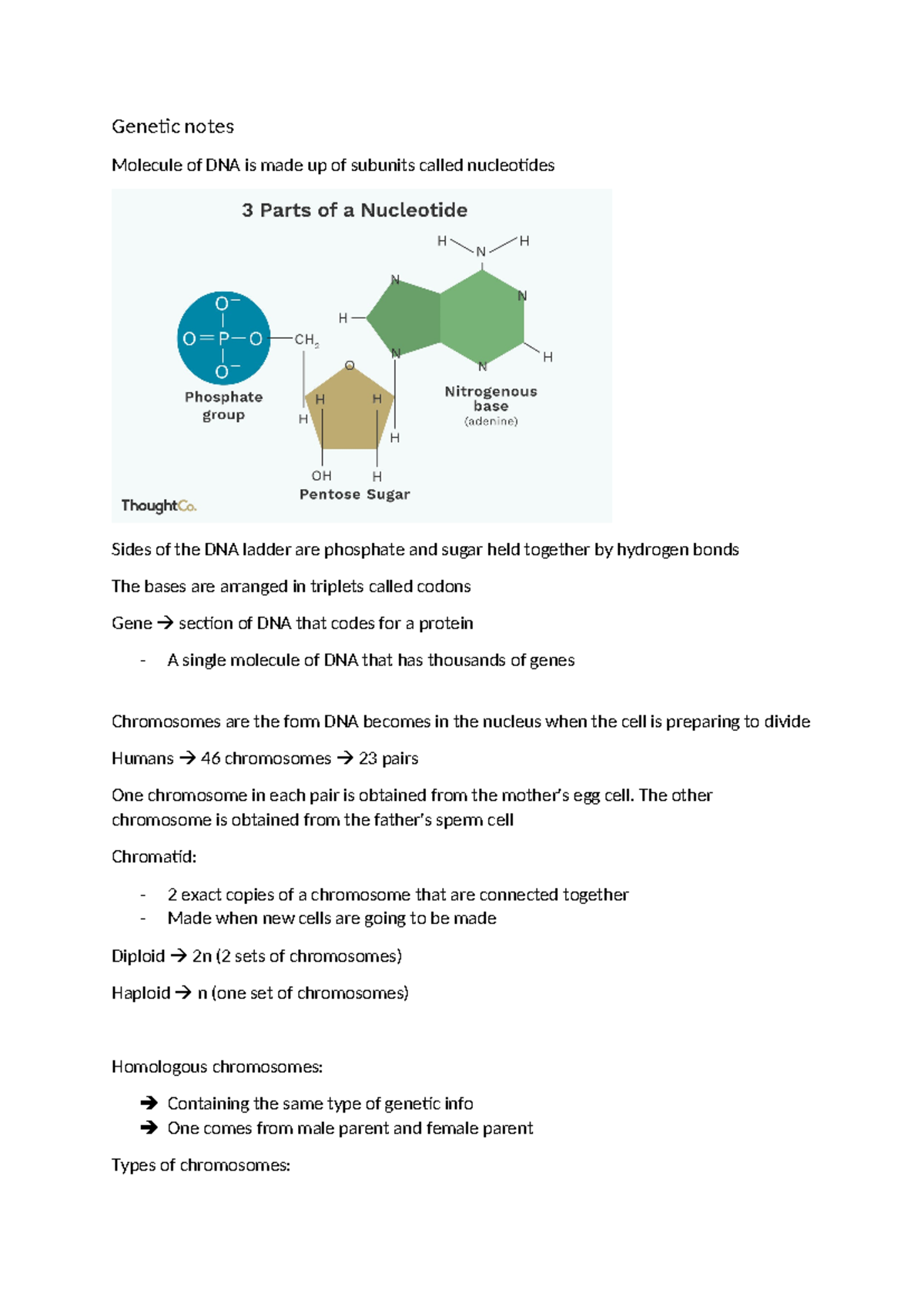 Genetic notes - Genetic notes Molecule of DNA is made up of subunits ...