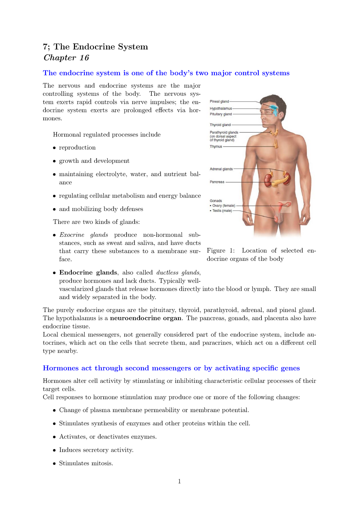 human-endocrine-hormones-worksheet-ivuyteq