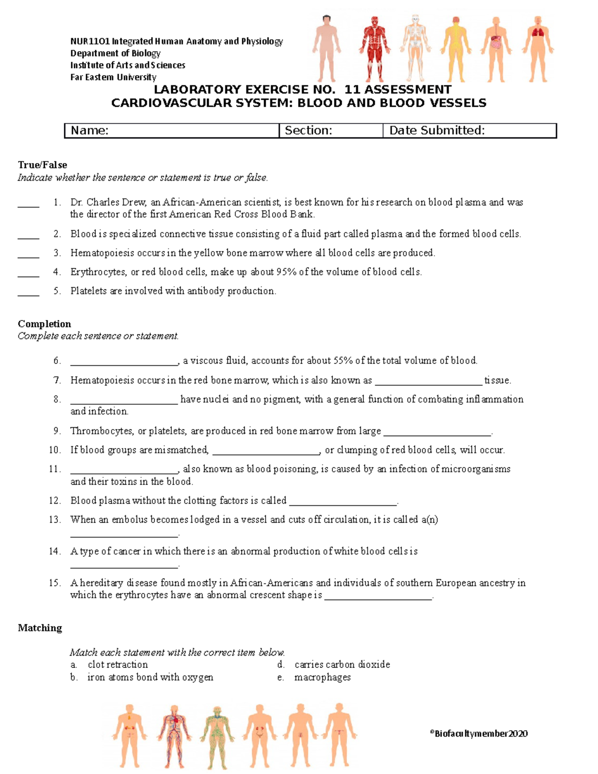 LAB Exercise 11 Assessment Questions NUR11O1 Integrated Human Anatomy