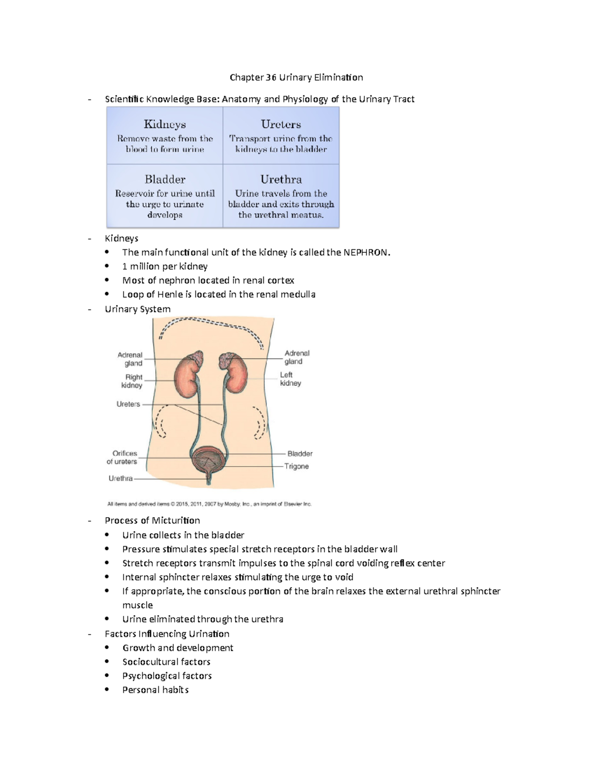 Chapter 36 Urinary Elimination - Chapter 36 Urinary Elimination ...