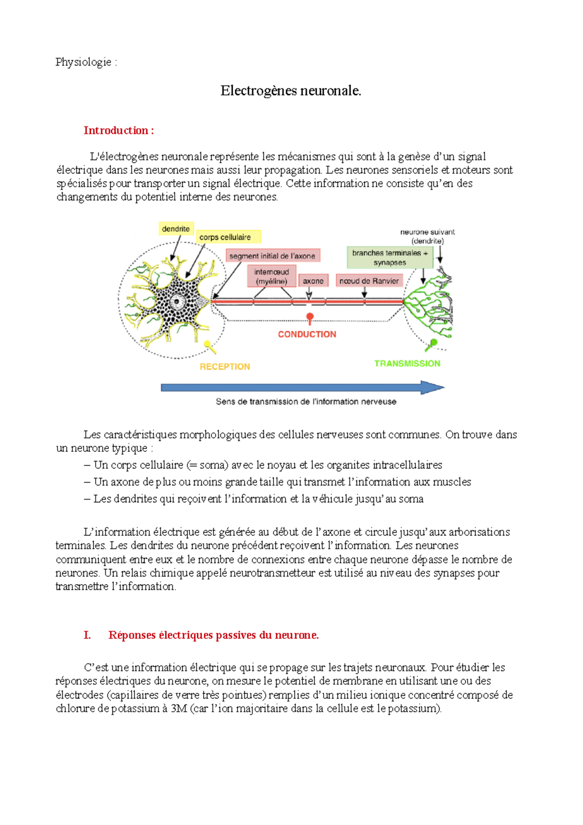 electrogen-se-neuronale-physiologie-neuronale-introduction