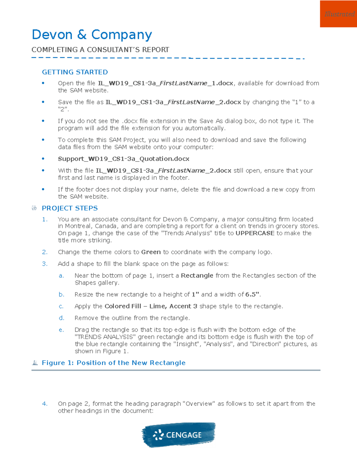 Instructions IL WD19 CS1-3a - Devon & Company COMPLETING A CONSULTANT’S ...