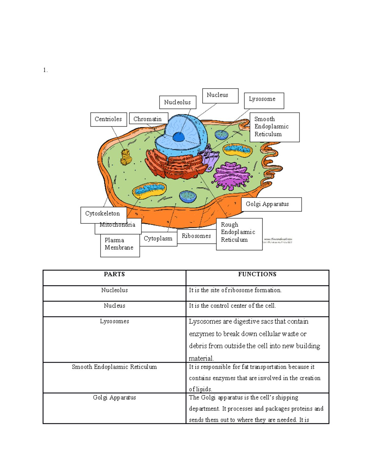 Animal-cell answer in worksheet paper. It is very helpful - 1. PARTS ...