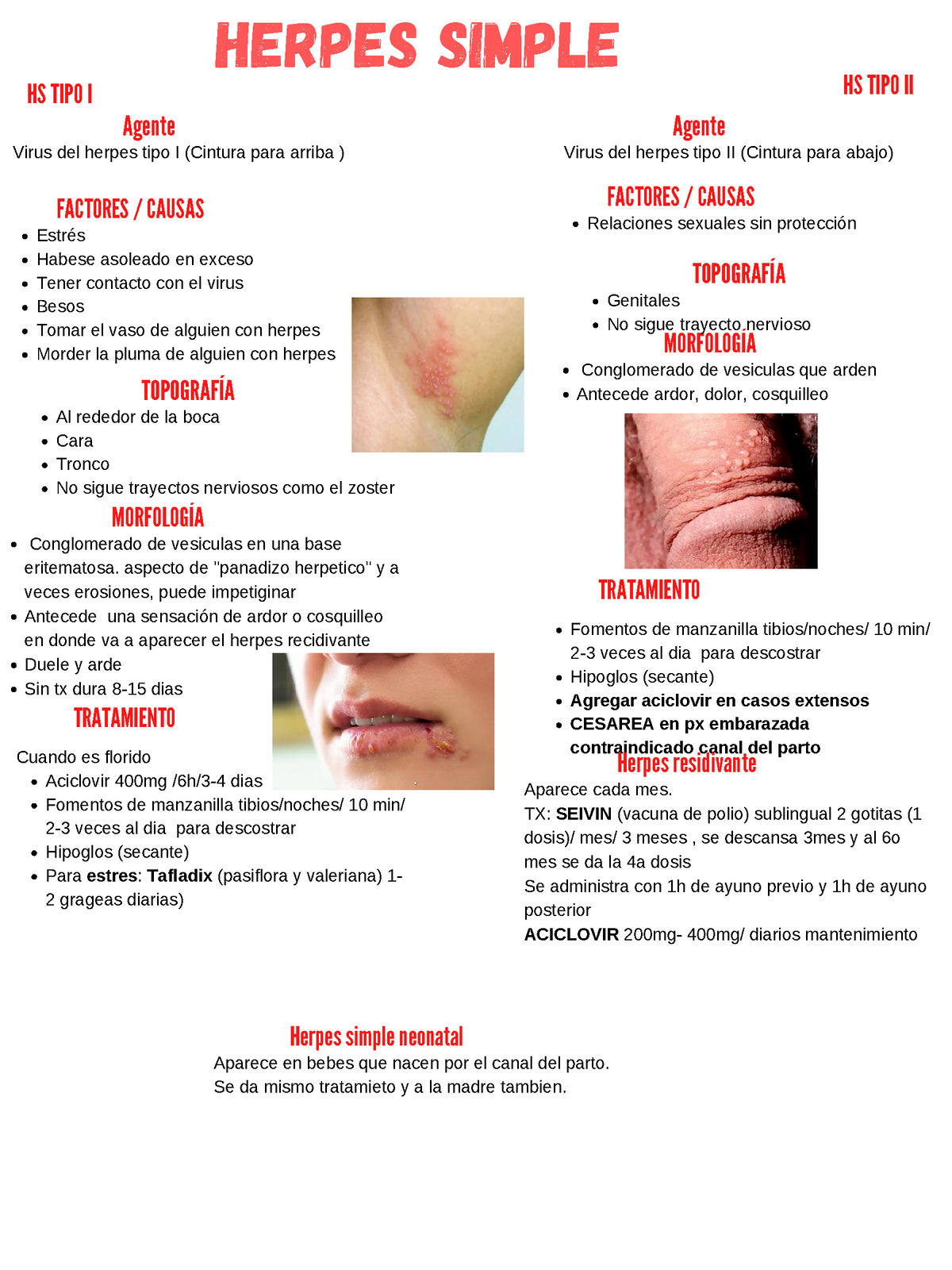 Herpes Simple - Resúmen completo con características clínicas, diagnosticas  y terapéuticas sobre - Studocu