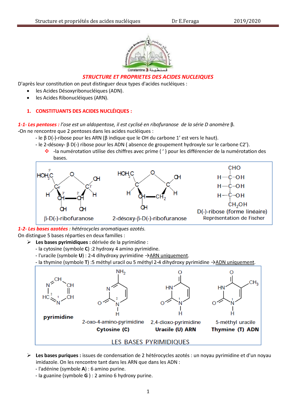 Biochimie 1an Poly-structure Proprietes Acides Nucleiques 2020feraga ...