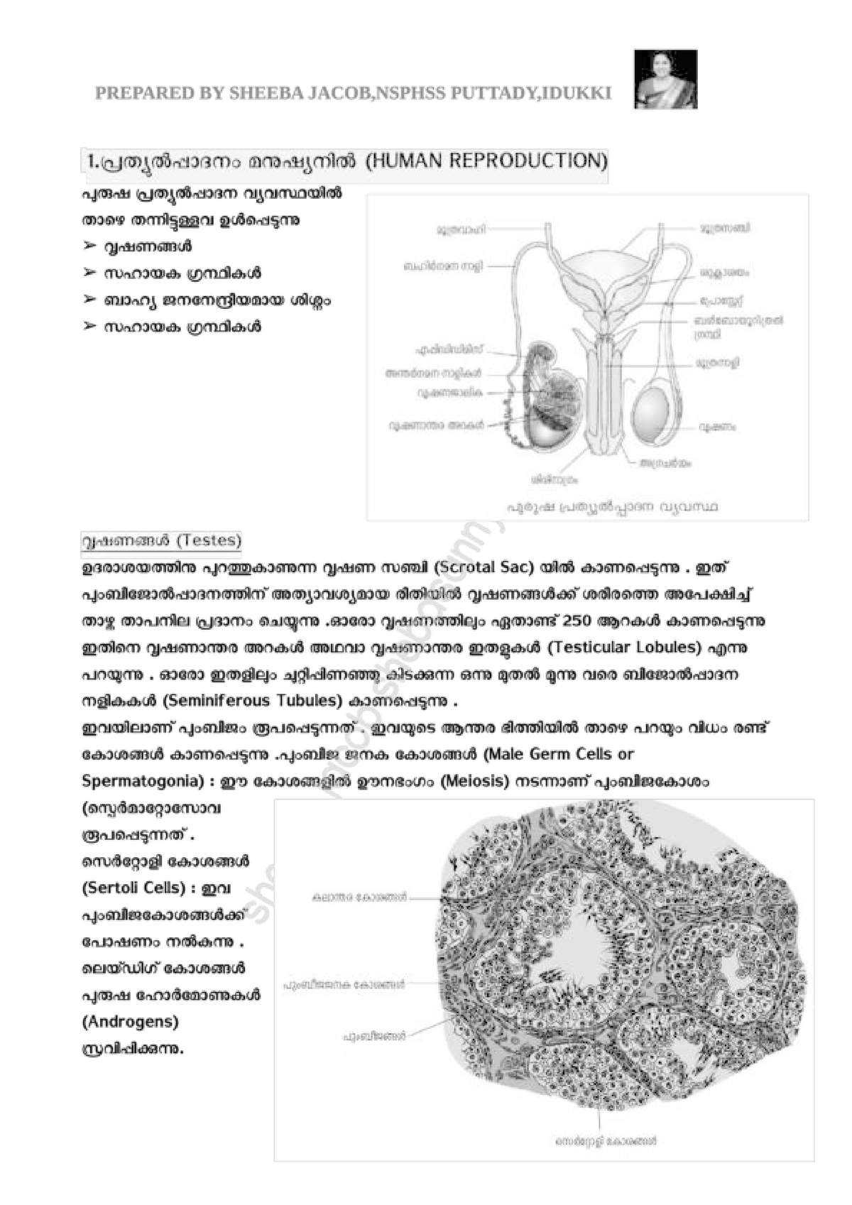 ALL Chapters Combined Notes FOR PLUS TWO Zoology IN Malayalam CR ...