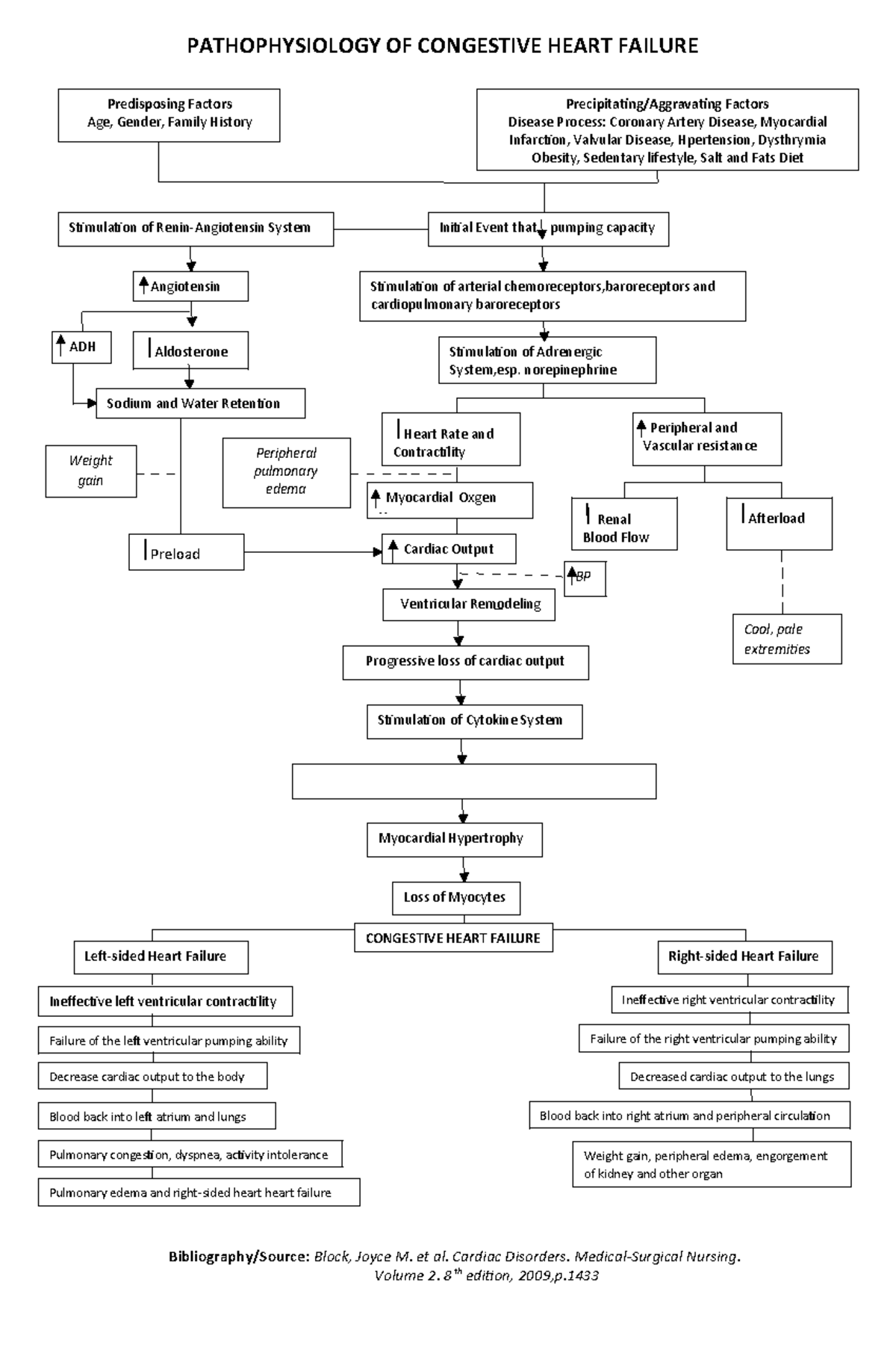 37280305-Doc-1 - practice guide - PATHOPHYSIOLOGY OF CONGESTIVE HEART ...