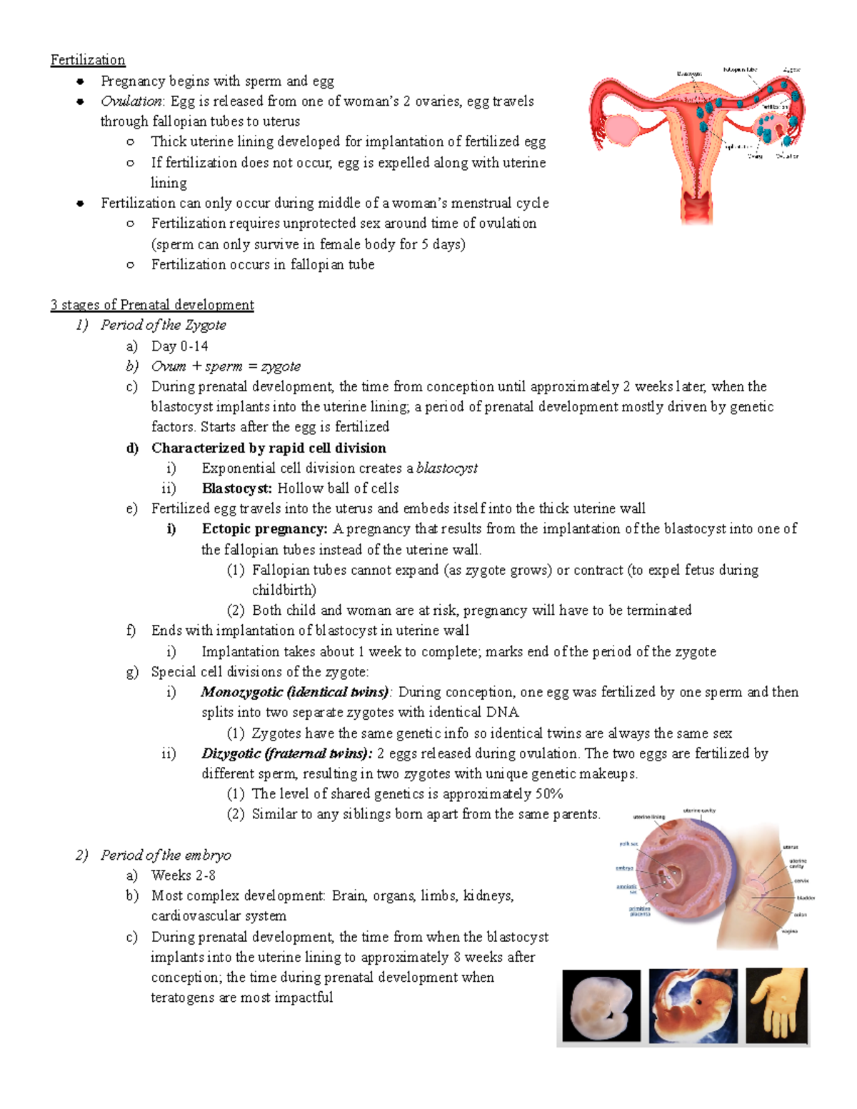 Development 1 - Notes - Fertilization Pregnancy begins with sperm and ...