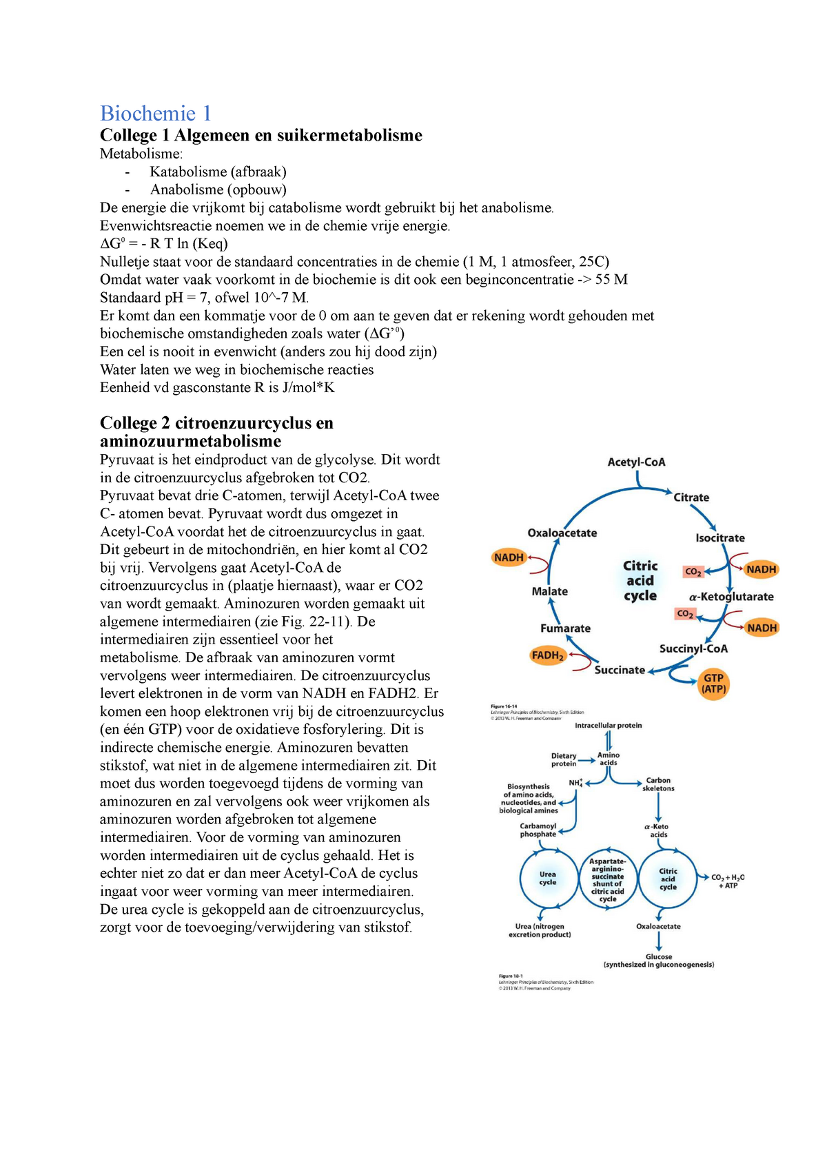 Biochemie 1 Metabolisme Samenvatting - Celbiologie & Biochemie: Een ...