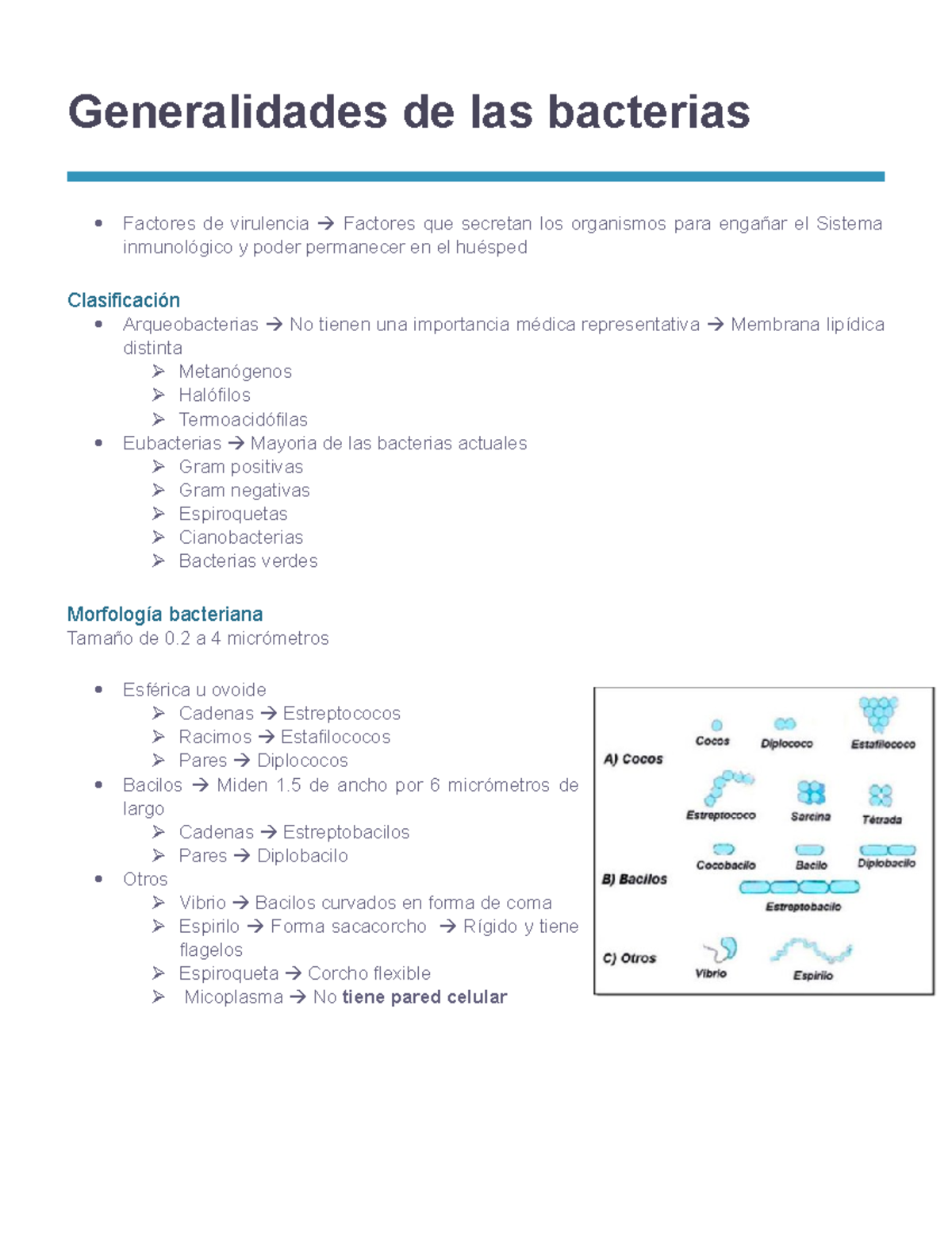 Generalidades De Las Bacterias - Studocu
